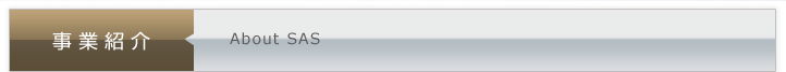 事業紹介 About SAS